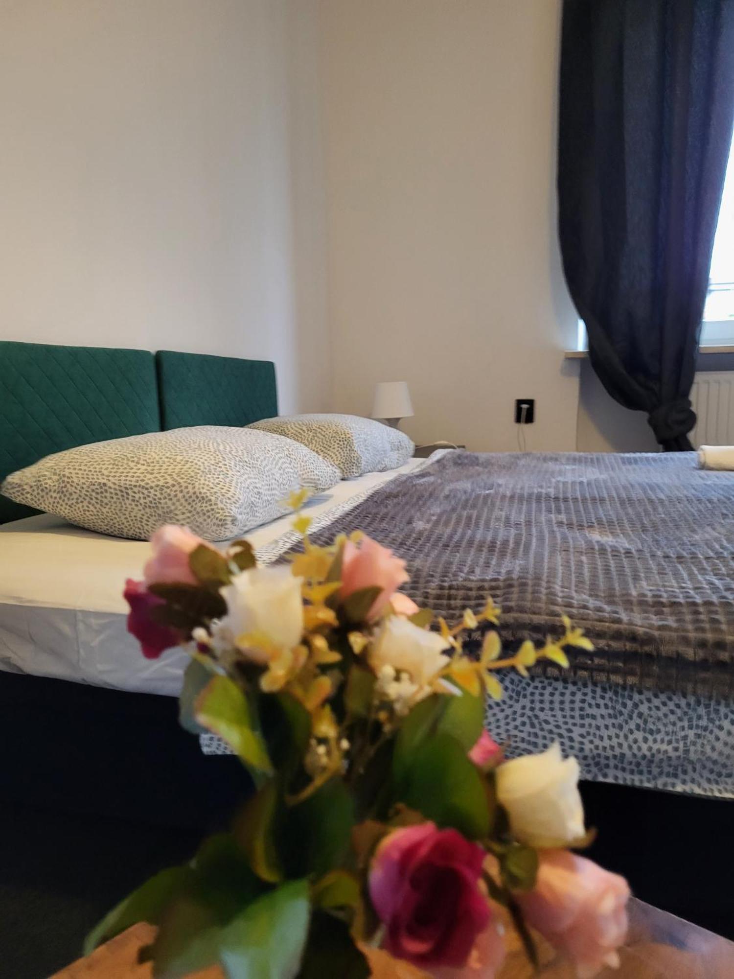 Charmed Homestay - Zaczarowany Varşova Dış mekan fotoğraf